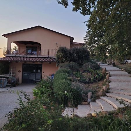 Affittacamere La Residenza Di Campagna Manciano Esterno foto