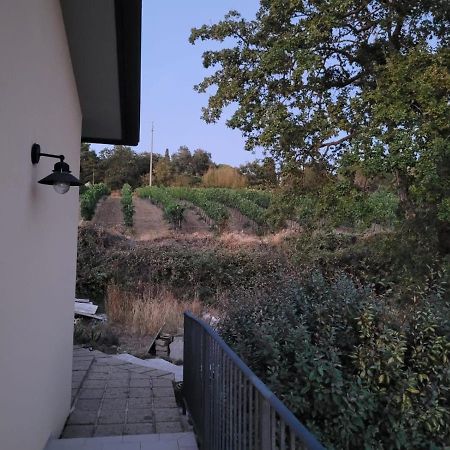 Affittacamere La Residenza Di Campagna Manciano Esterno foto