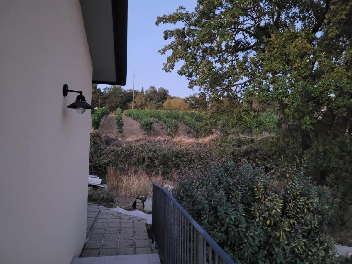 Affittacamere La Residenza Di Campagna Manciano Esterno foto
