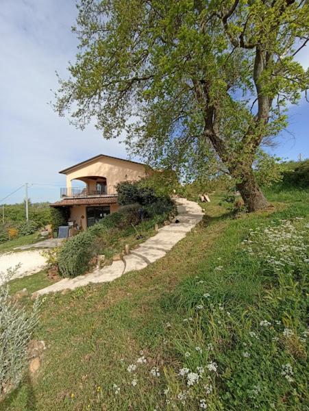 Affittacamere La Residenza Di Campagna Manciano Esterno foto